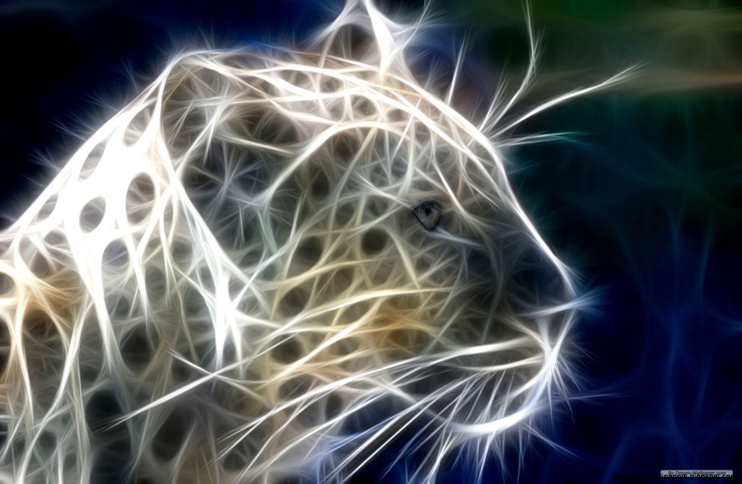 3d Animals Wallpaper Download Gallery 3d Animals Wallpaper Download Gallery