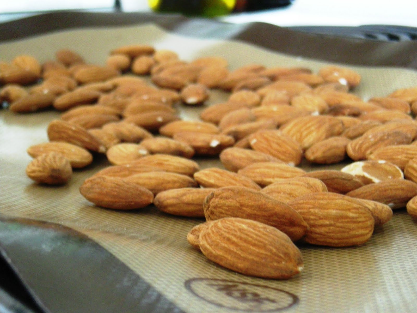 CollegeBakerGirl Cocoa Roasted Almonds
