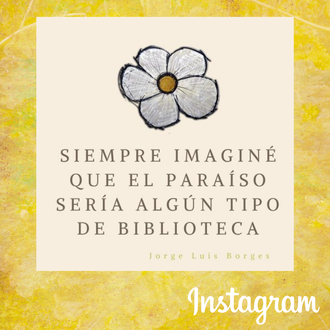 SÍGUENOS EN INSTAGRAM