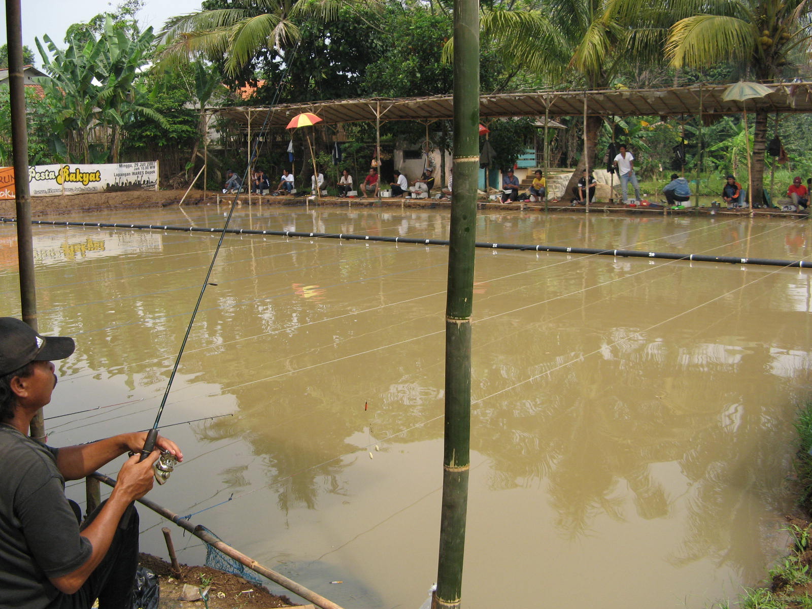 Membuat Umpan Ikan Mas Yang Jitu | resep umpan mancing related keywords resep umpan mancing Membuat Umpan Ikan Mas Yang Jitu | resep umpan mancing related keywords resep umpan mancing
