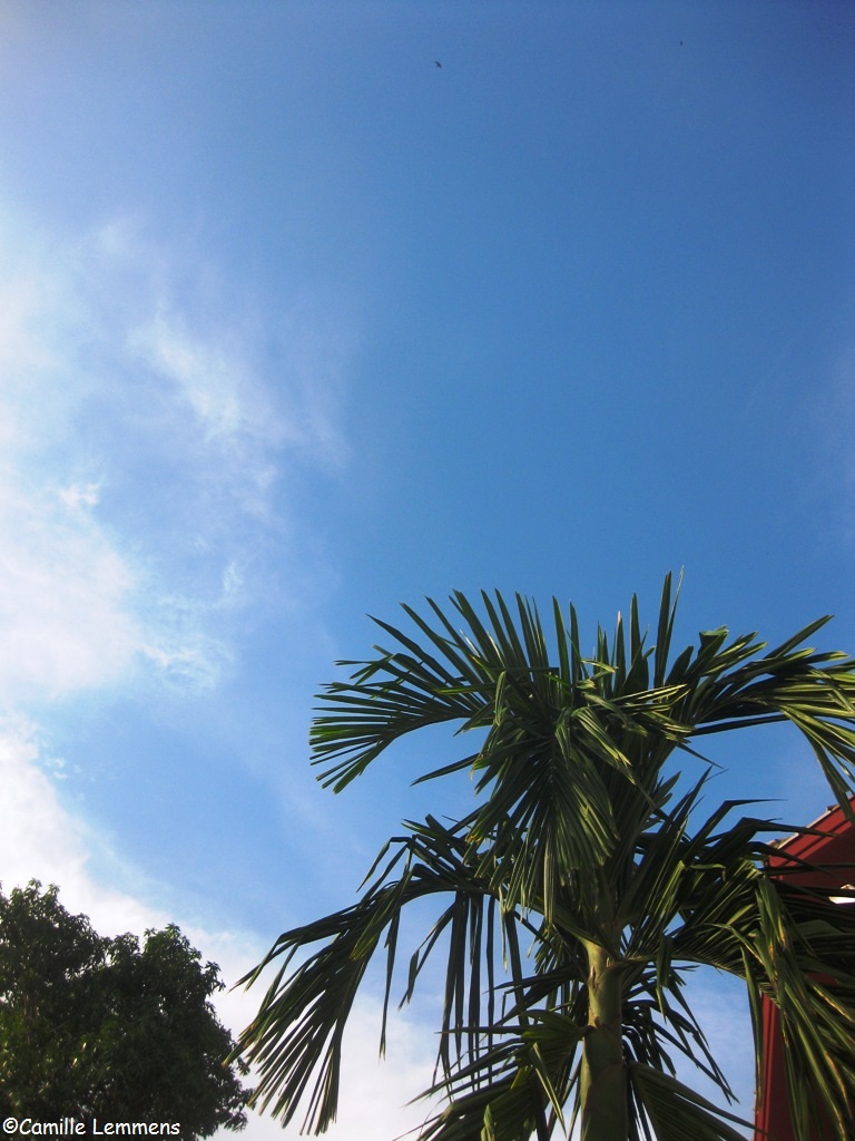 Samui Weather