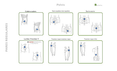 Biomagnetismo - Terapia con Imanes y Bioenergética: Pares ...