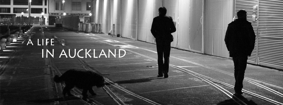 A Life in Auckland