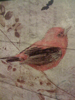 red bird