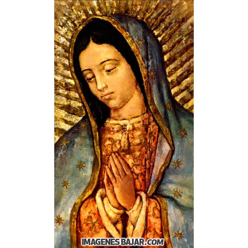 Imágenes de Virgen de Guadalupe: Bellas y milagrosas ✓ ⭐【 DESCARGAR  IMAGENES 2023 ** ❤