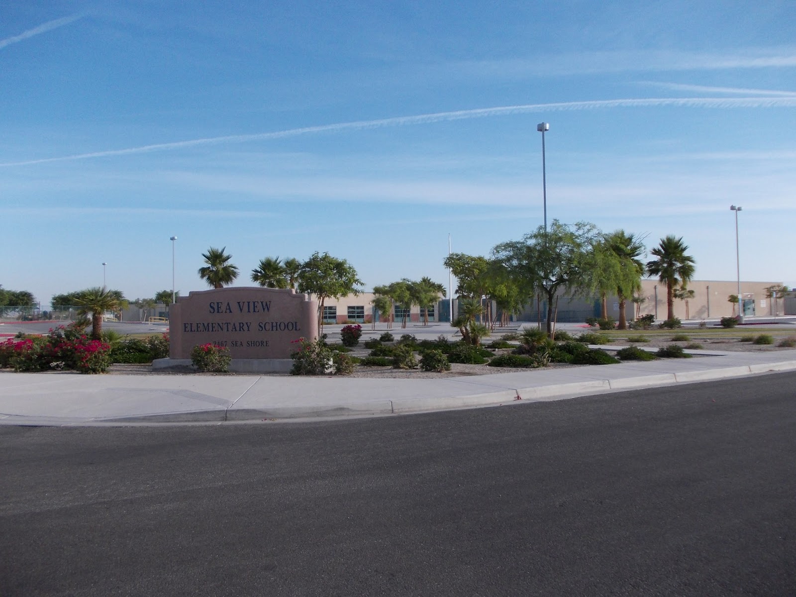 Salton city ca diary