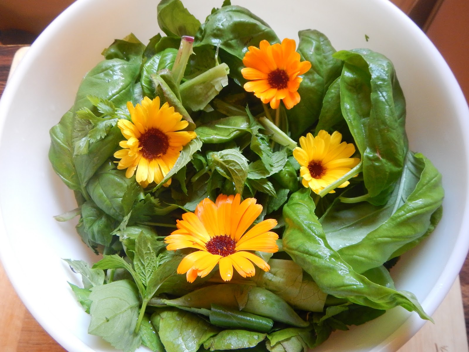 Day by Day Homesteading The Art of Creating Resiliency, One Day at a