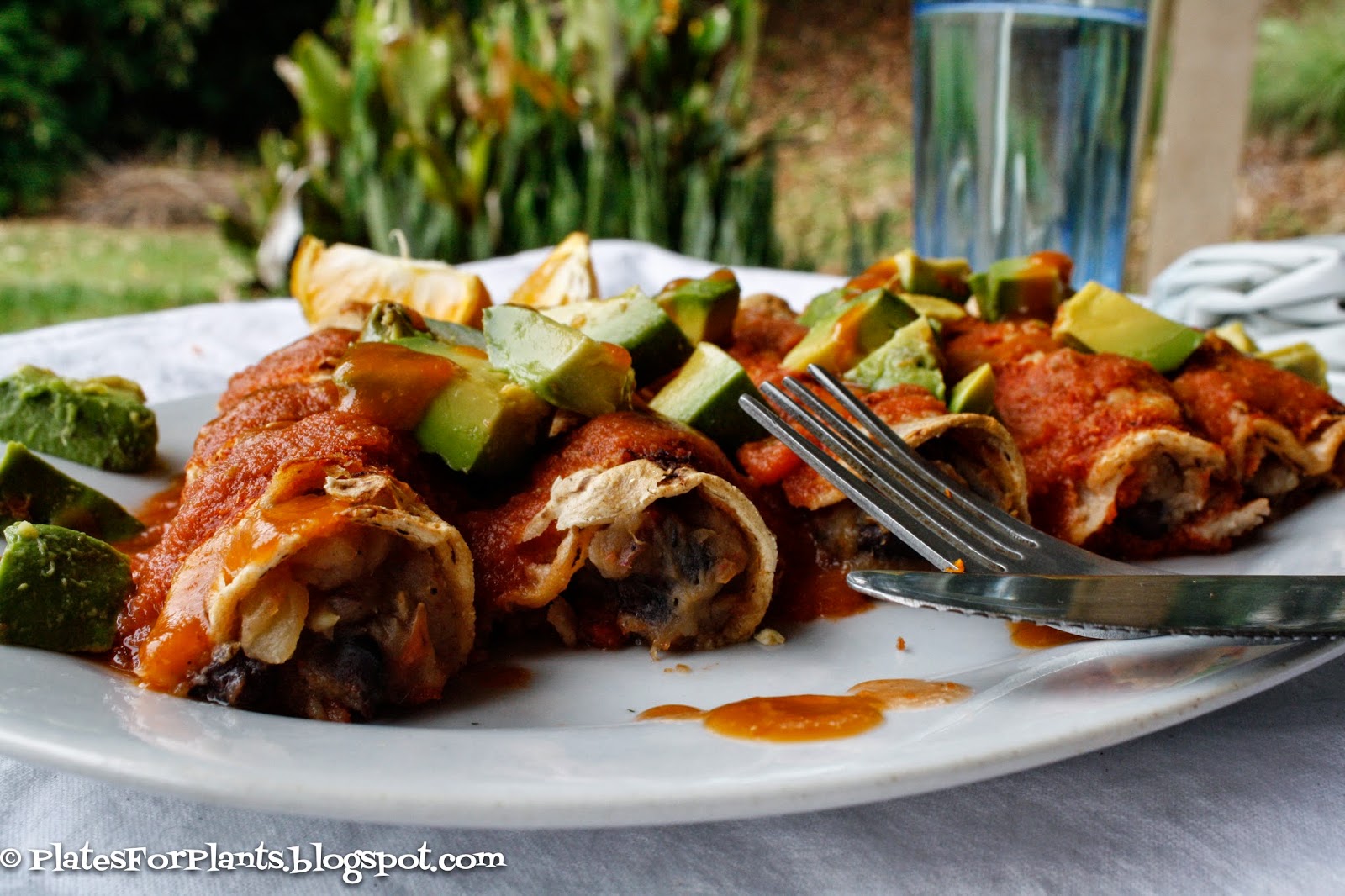 Plates for Plants Yam Enchiladas