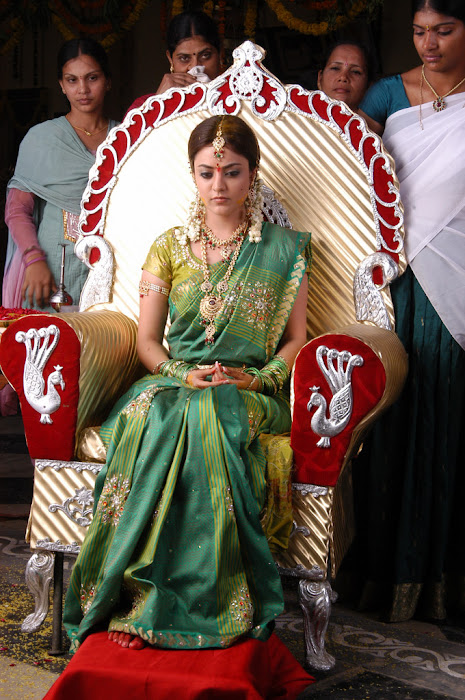 nisha agarwal new in traditional saree in solo cute stills