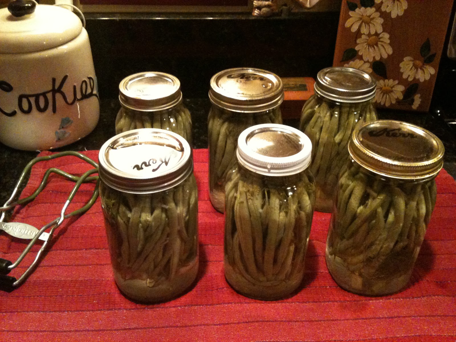 In The Garden with Claire Spicy Hot Dilly Beans