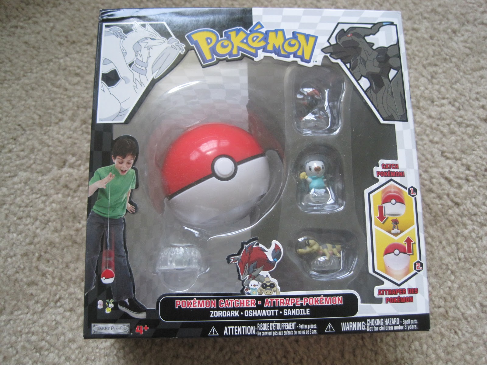 Old Ball Pokemon