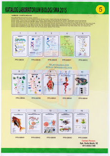 Alat Lab Biologi SMA,ALAT PERAGA BIOLOGI SMA,ALAT PERAGA IPA SMA,BIOLOGI SMA