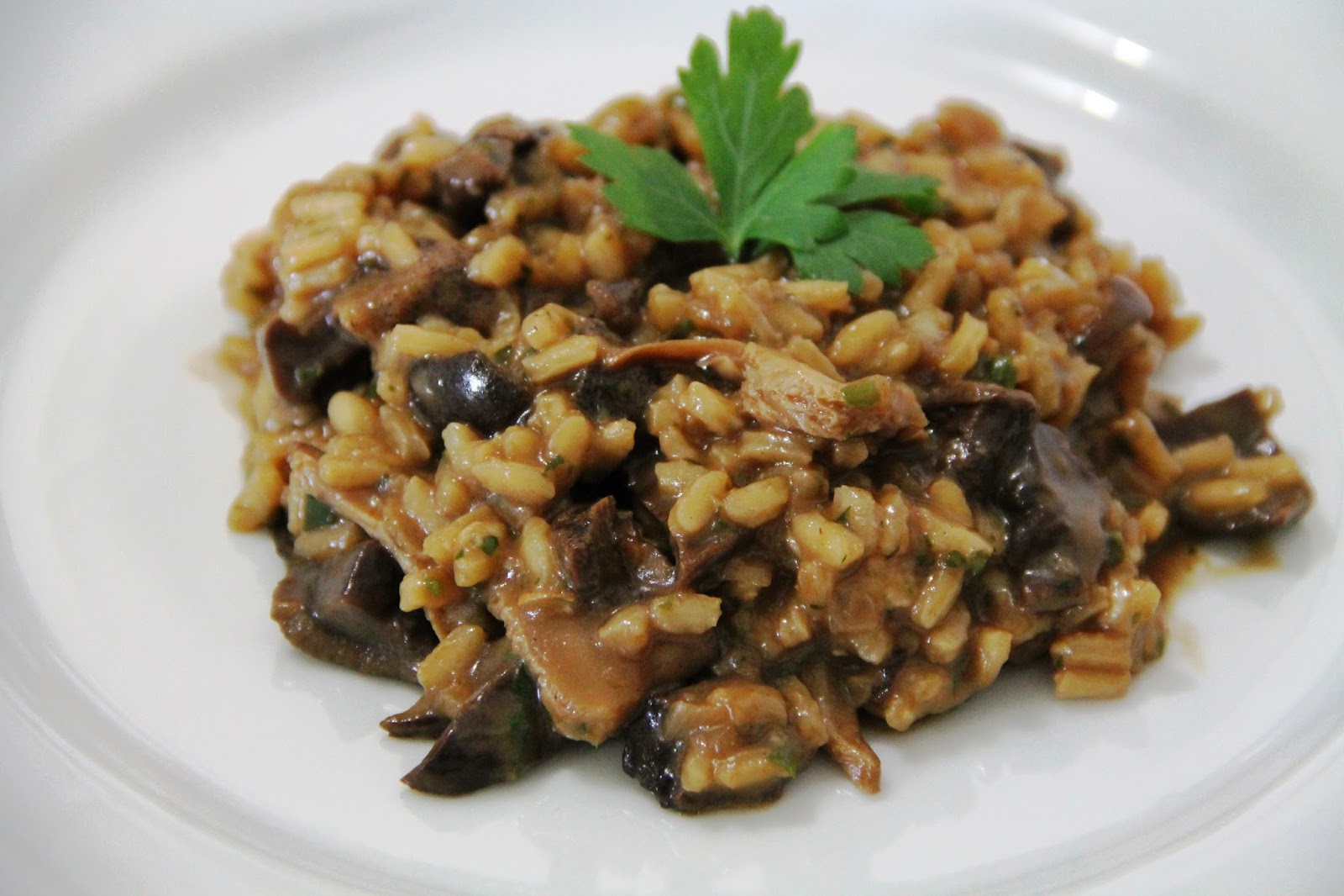 Temperos e Especiarias Risoto de Cogumelo Funghi Secchi Chileno