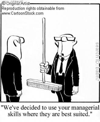 Managerial Skills Development
