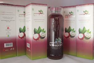 Ace Maxs Obat Alternatif Penyakit Asam Urat