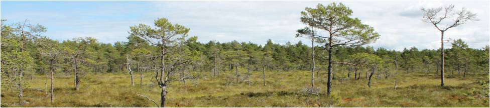 G. Granath, Peatland and Forest Ecology