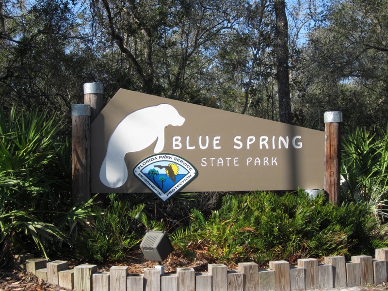Julie S State Parks Blue Spring State Park Florida