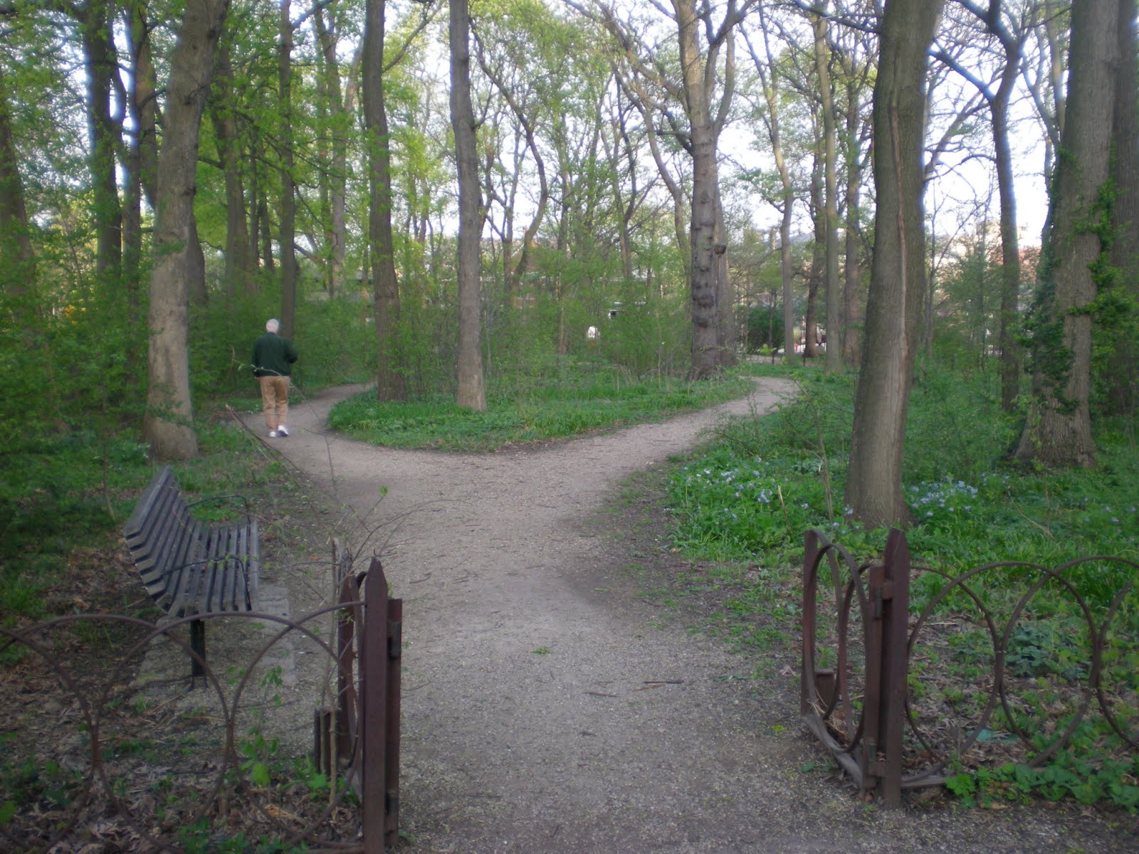 Been There Seen That Austin Gardens Park Oak Park