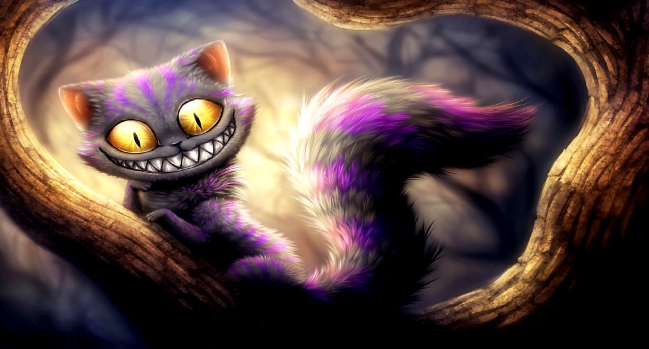 Funny Cat Wallpapers Latest Collection of SmsShayariPoetry Funny Cat Wallpapers Latest Collection of SmsShayariPoetry