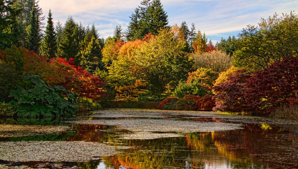 MY ARCHITECTURAL MOLESKINE® VANDUSEN BOTANICAL GARDEN, VANCOUVER