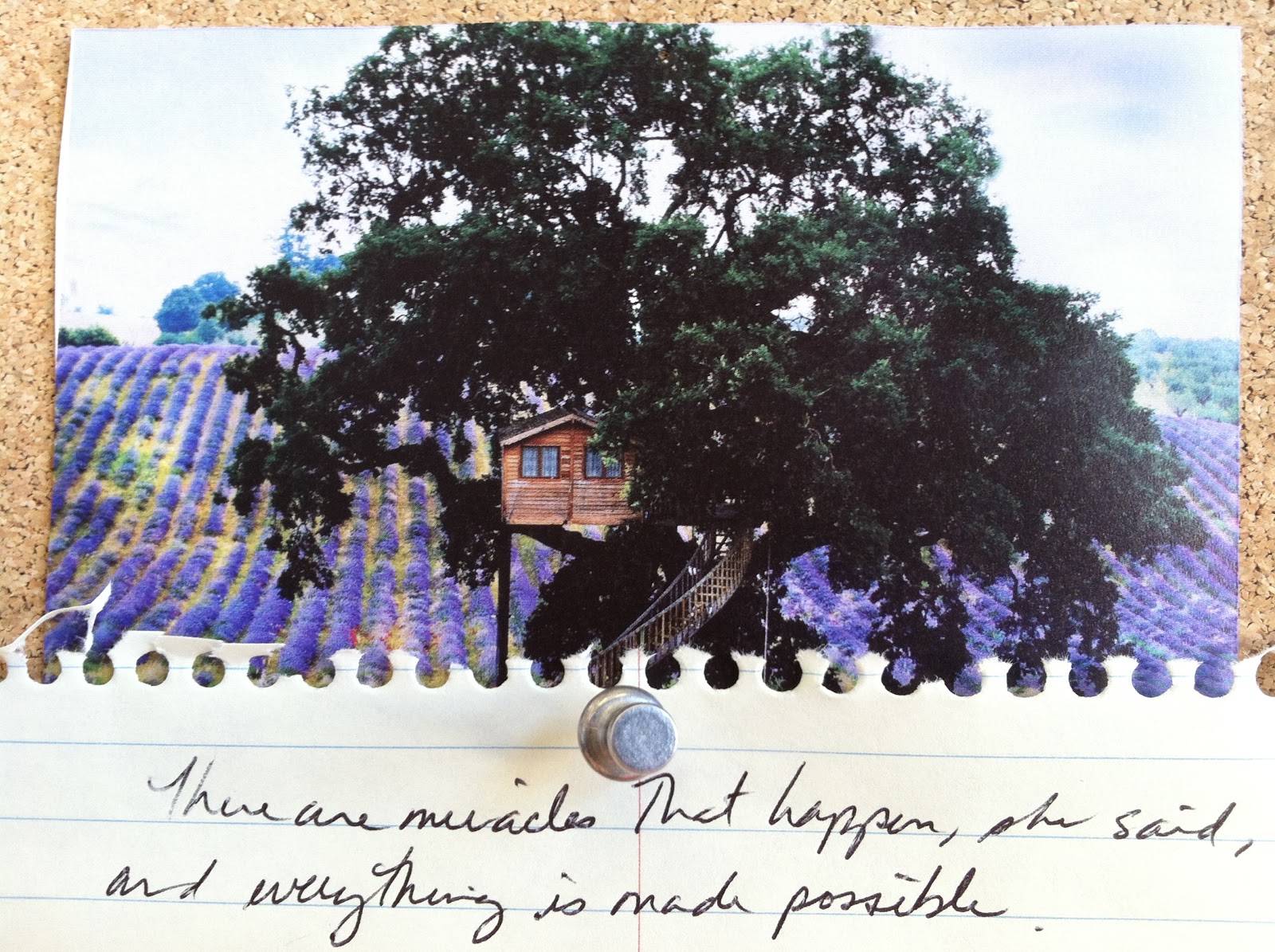 Janice mirikitani cause of death image