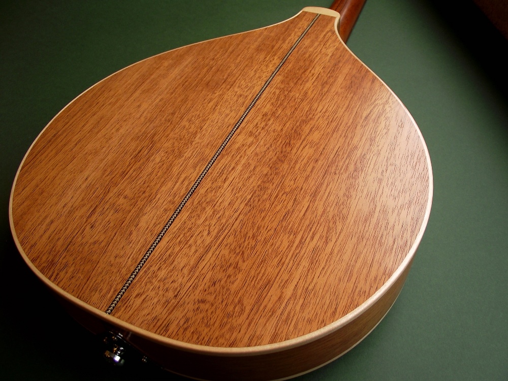 A Luthier's Blog John's completed mandolin