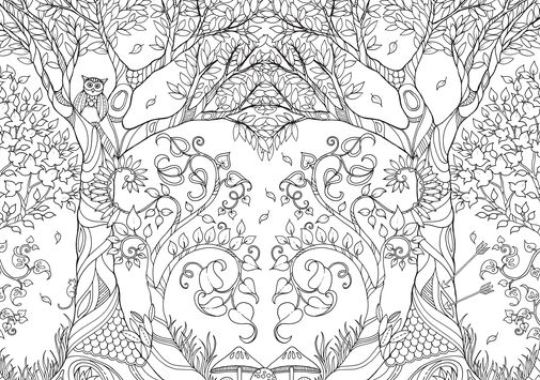 The Coloring Book Is Also A Bit Interactive In That There Are Hidden Objects And Symbols To Be Found Able Unlock Secrets Of Castle It All