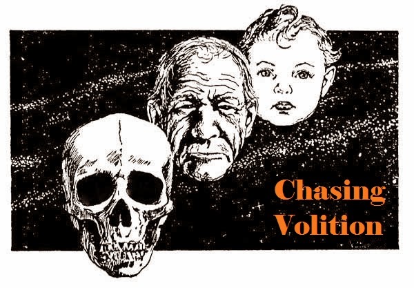 Chasing Volition