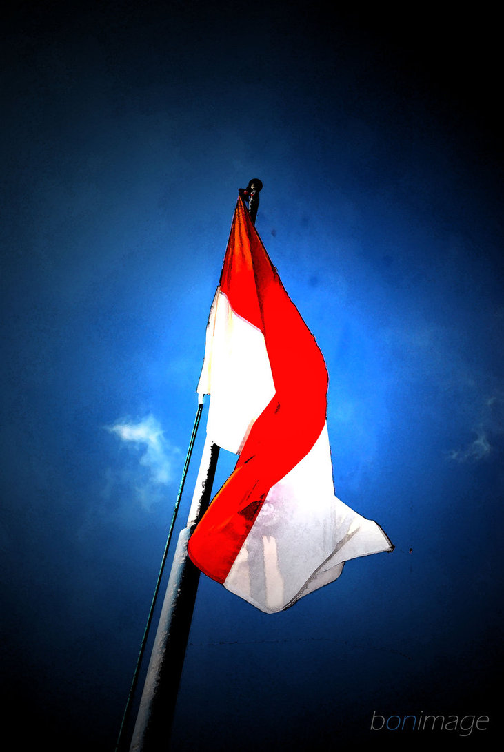 Bendera forex