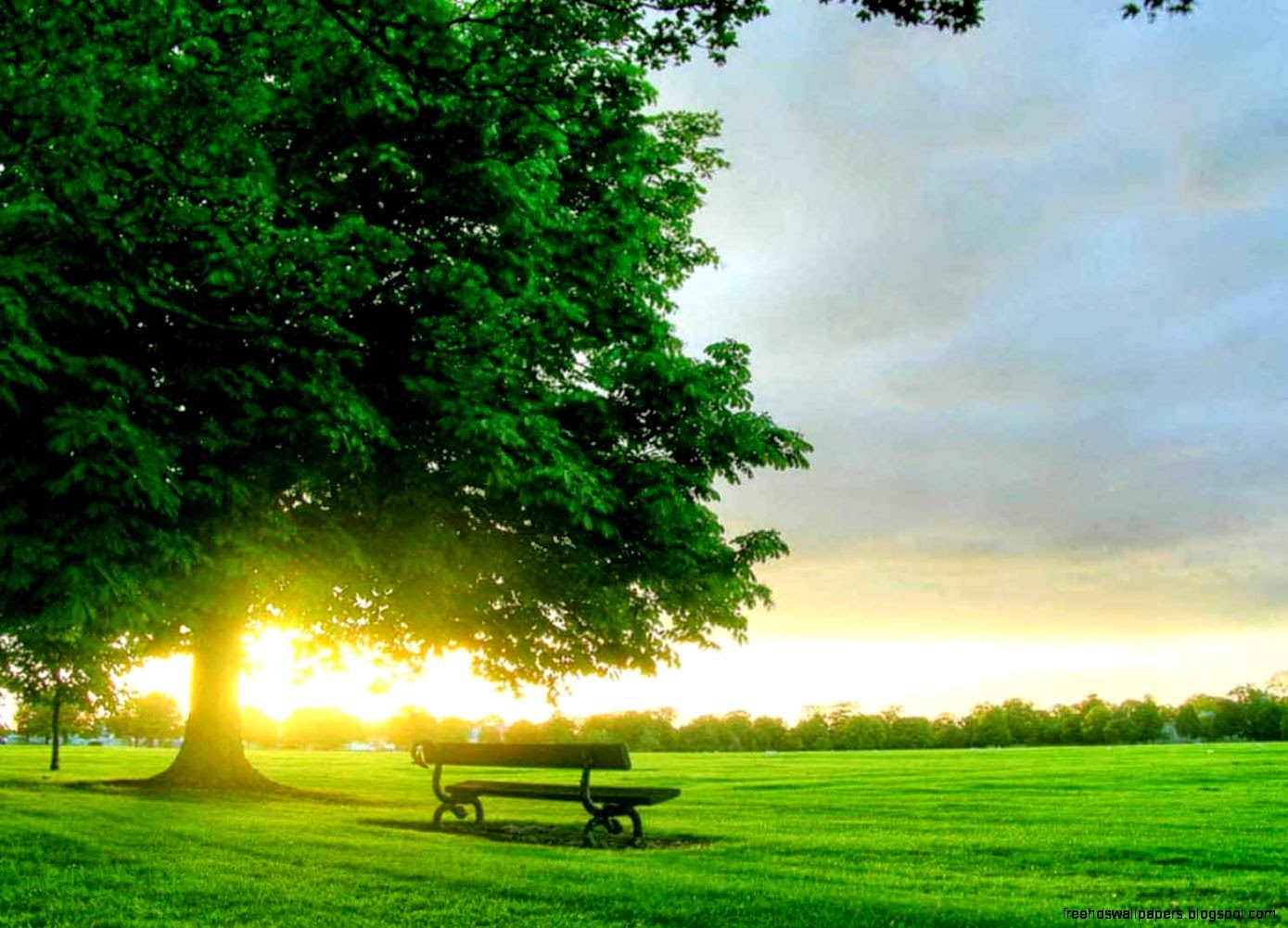 Samsung Galaxy S4 Wallpaper Free Download Elegance Collections Samsung Galaxy S4 Wallpaper Free Download Elegance Collections