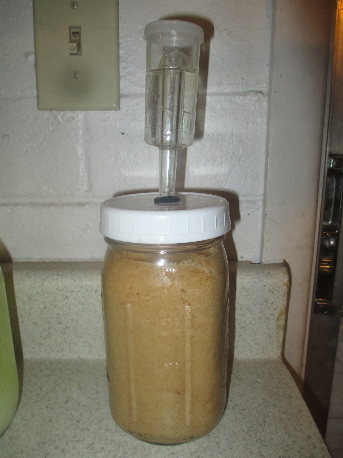 Creativity in the Kitchen LactoFermented Dehydrated Applesauce Fruit