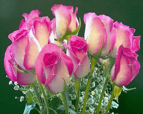 rosas_hermosas_grandes_298.gif