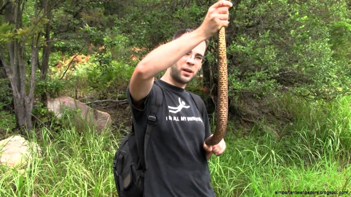 Snake Hunting YouTube Snake Hunting YouTube