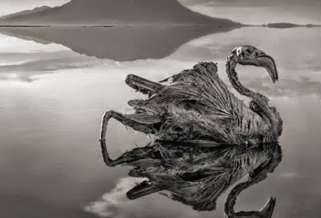 Η λίμνη του θανάτου, που ότι την ακουμπάει του ρουφάει τη ζωή   Δείτε συγκλονιστικές εικόνες που κόβουν την ανάσα [pics]