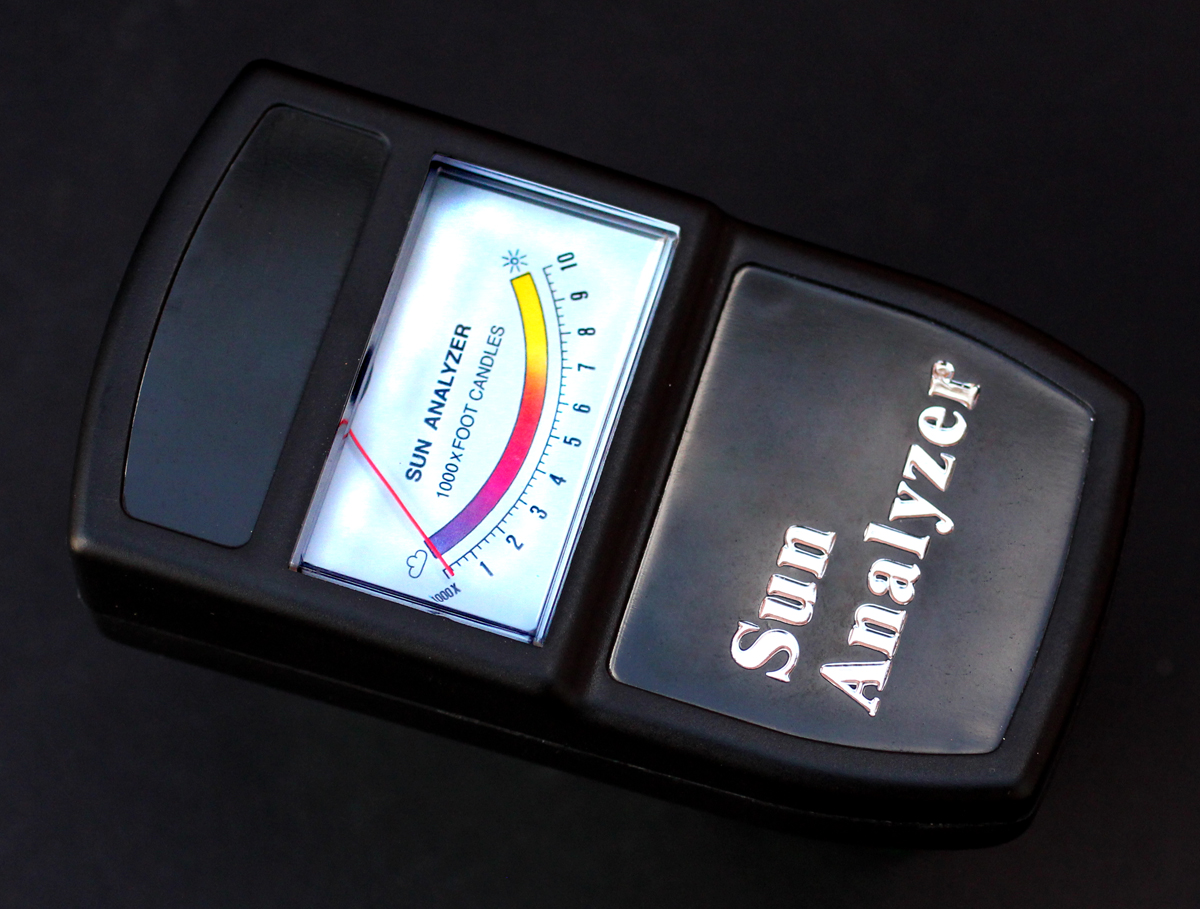 Angraecums... What's Light Got To Do With It?