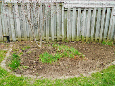 Graydon spring garden cleanup after by Paul Jung Gardening Services Toronto