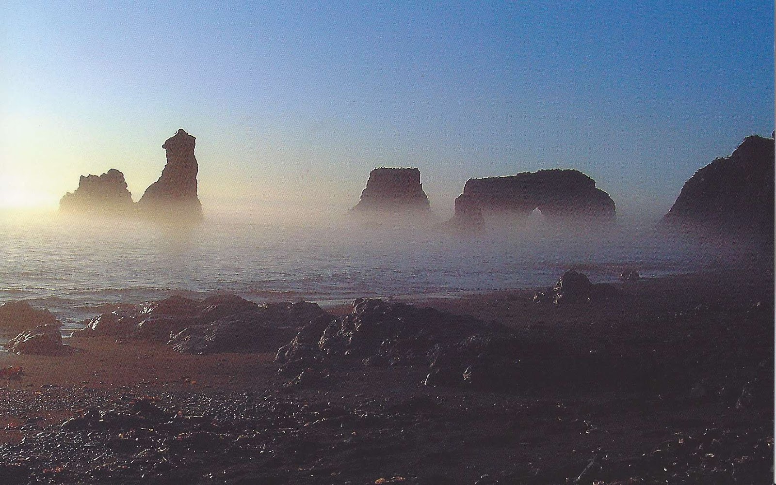 journey to sakhalin A journey to sakhalin and kunashir the kuril islands are one of the best places to learn the amazing nature of the far east your journey will consist of two parts: first you will spend some time in sakhalin, then you will explore kunashir. journey to sakhalin A journey to sakhalin and kunashir the kuril islands are one of the best places to learn the amazing nature of the far east your journey will consist of two parts: first you will spend some time in sakhalin, then you will explore kunashir.