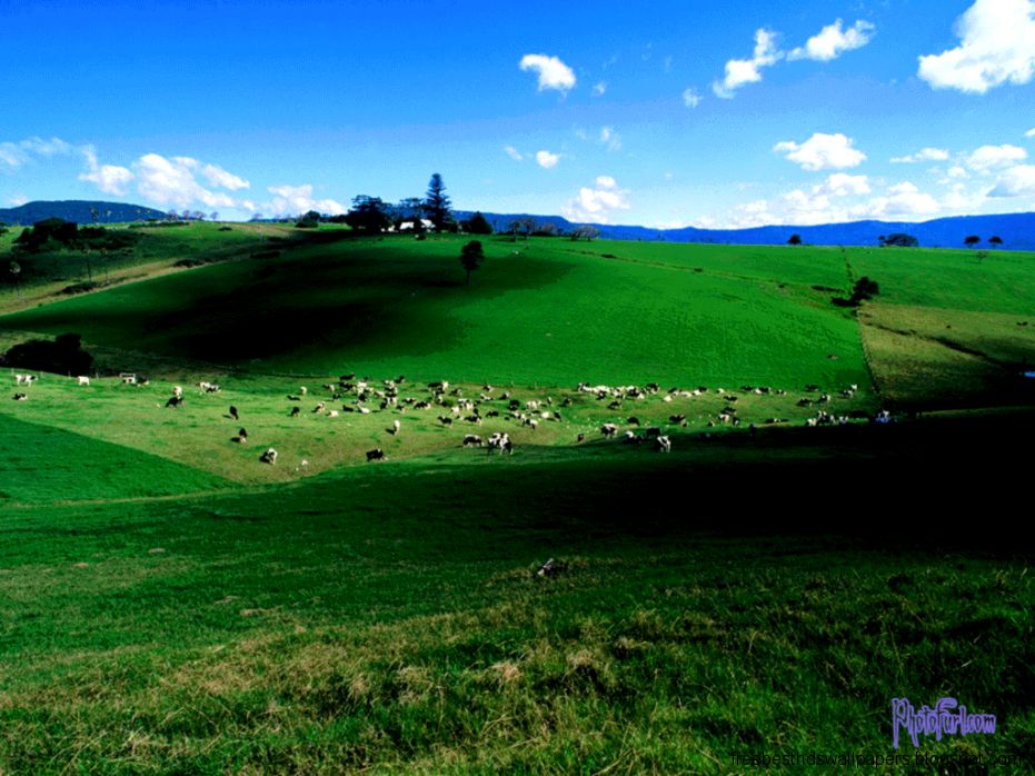 World Beautiful Wallpaper Desktop Backgrounds World Beautiful Wallpaper Desktop Backgrounds