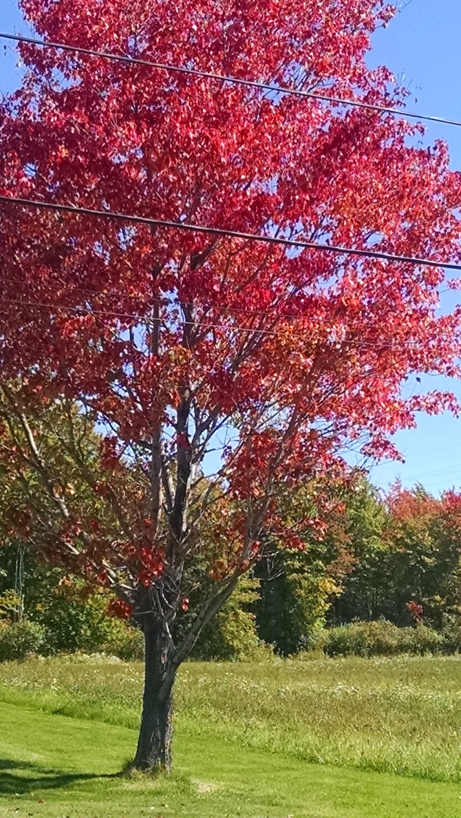 A View from the North Coast Fall Colors in Northeast Ohio