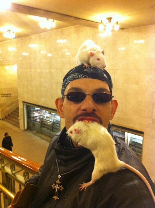 Subway Subculture Man who Kisses Rats in Subway Bites them at Grand