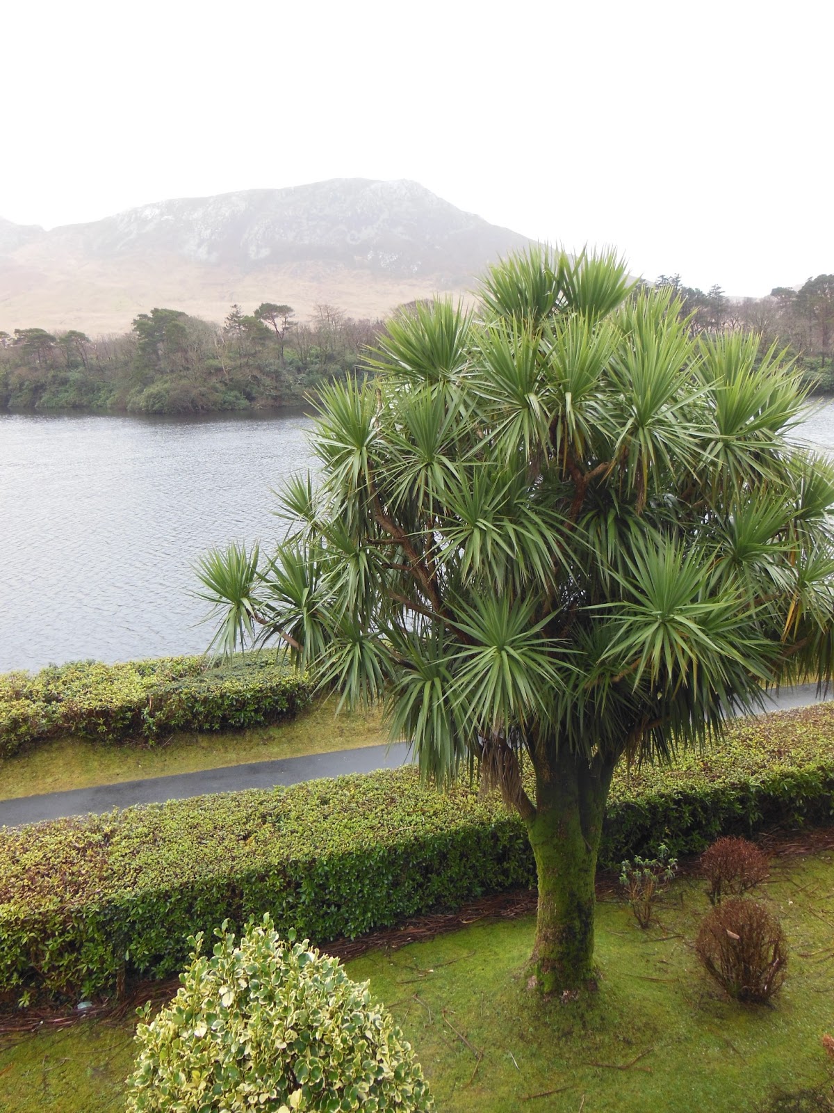 Galway, Ireland Studying Abroad