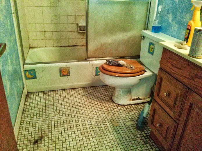 Dirtiest Houses! Worlds Dirtiest houses!!!