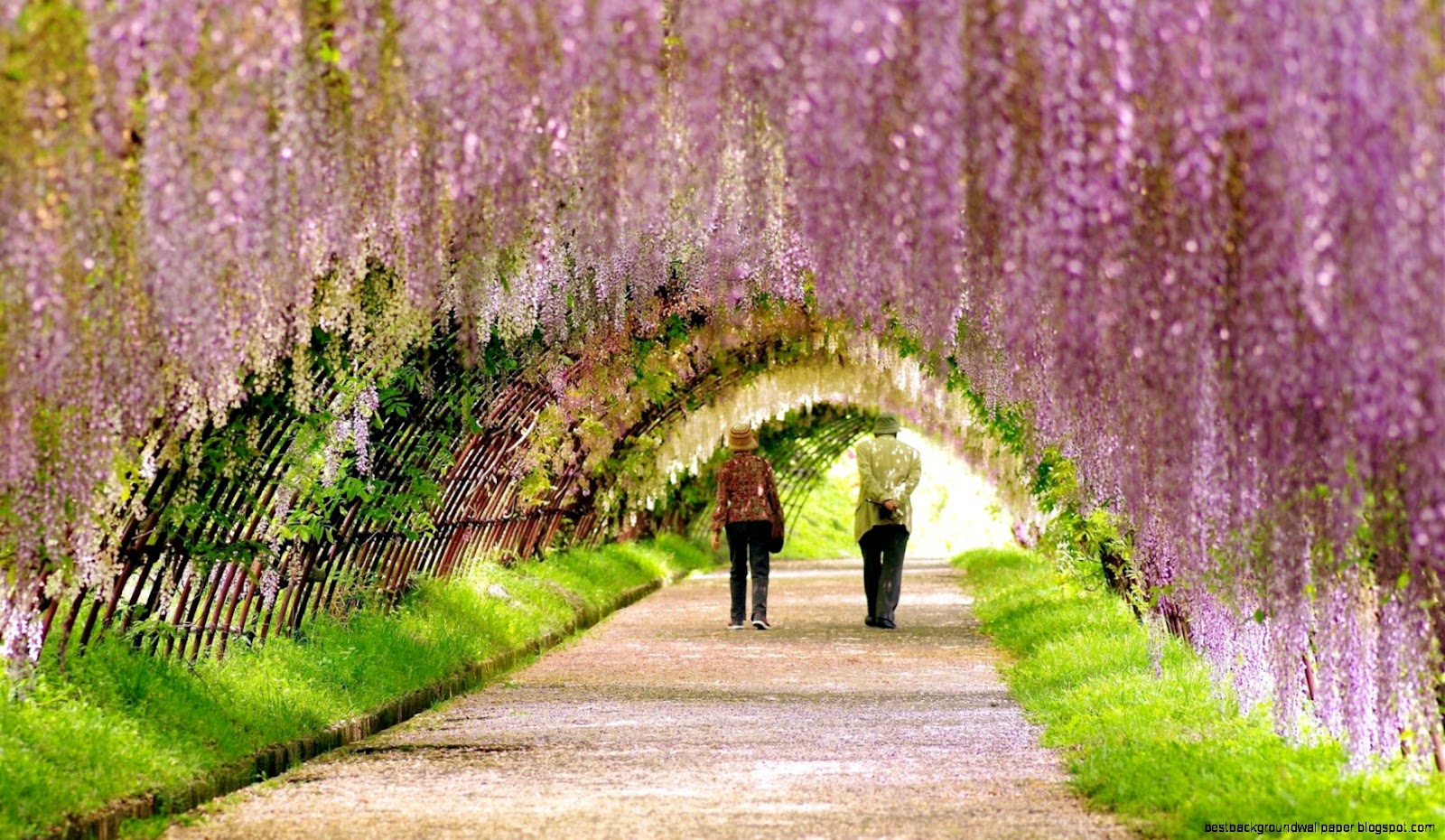 Beautiful Spring Flower Garden Beautiful Spring Flower Garden