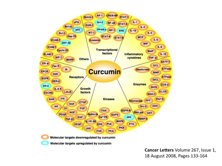 HEALTH WITH CANCER NATURALLY by Denise Wiesner L.Ac. One Of The Most