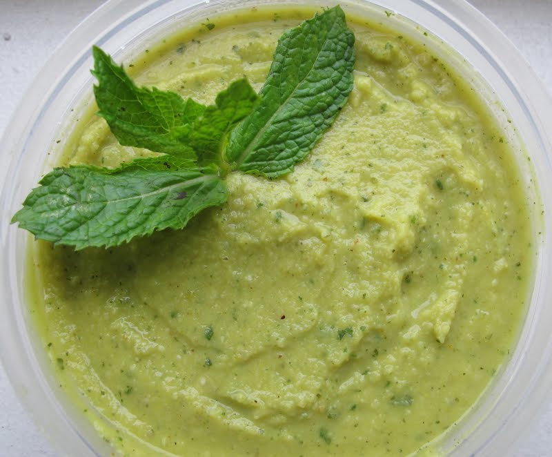 Fava Bean Dip Recipe Healthy Hummus Alternative