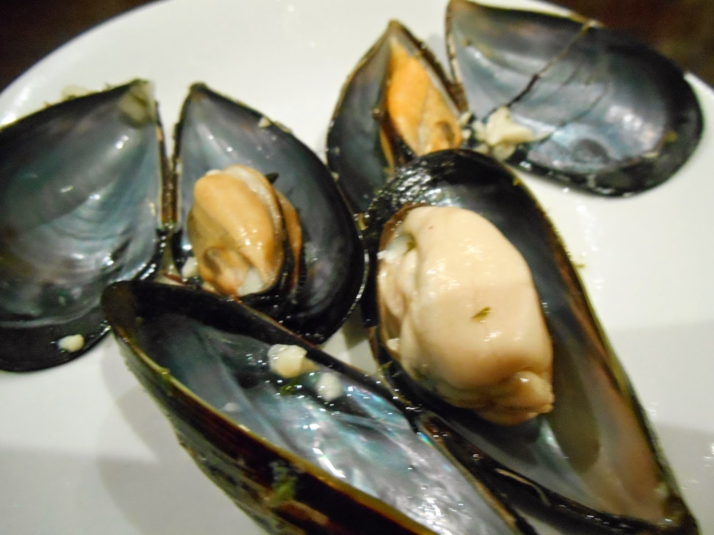 The Hungry (Greedy) Hippo Lakes Entrance Fish, Crabs and Mussels