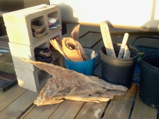 Driftwood