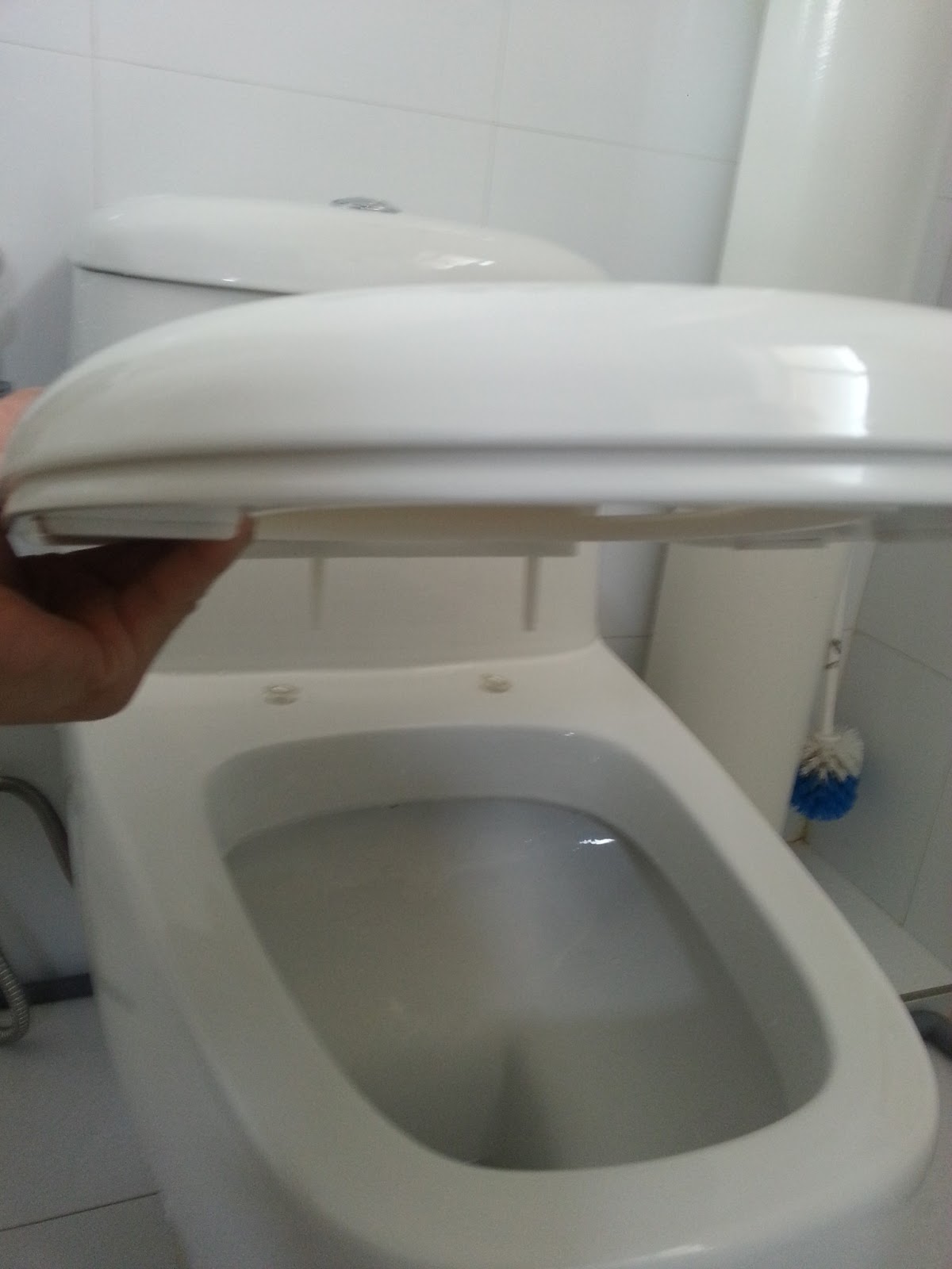 Our HDB Flat Renovation in 2009 Changing Toilet Bowl Seat Cover Baron