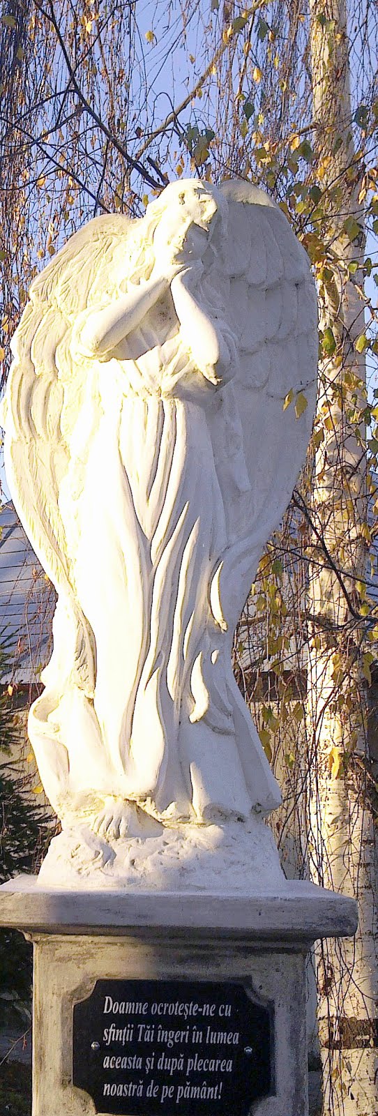 Înger de Sfântul Nicolae,Biserica Sfântul Spiridon,Cimitir,orașul Tîrgu Neamț,5 decembrie 2019