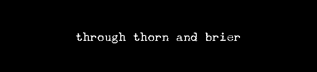 THROUGH THORN AND BRIER